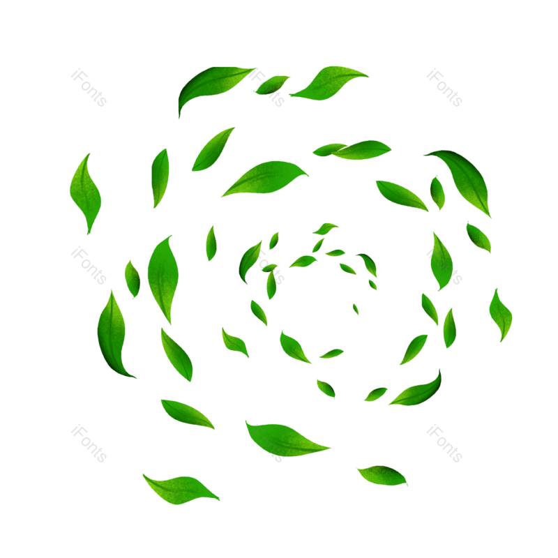 夏天图片,绿叶元素,植物插画PNG,植物素材免抠素材